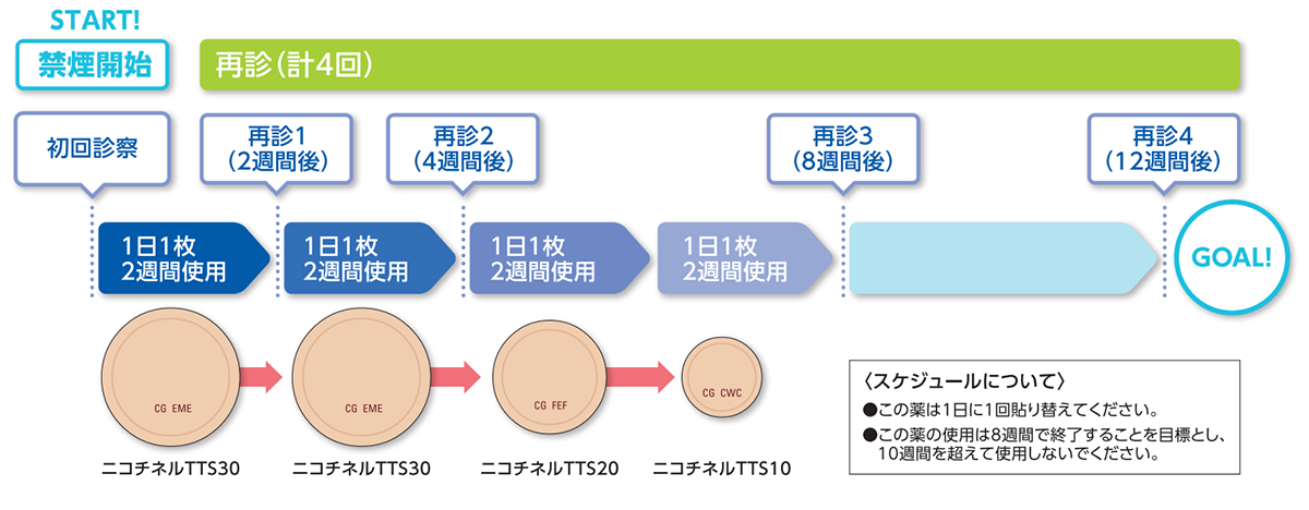 治療期間・服用のスケジュール